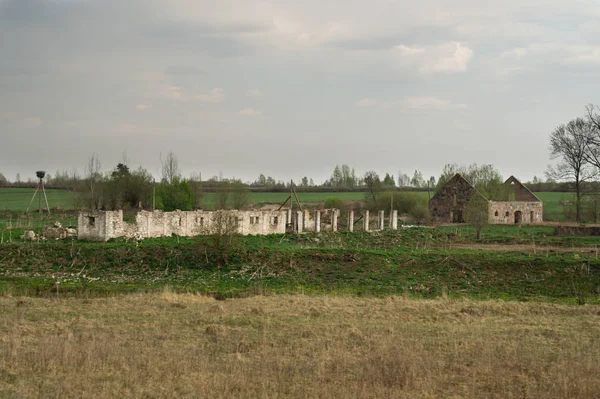 Oude verlaten gebouw in het bos. geruïneerde Koeienstal — Stockfoto