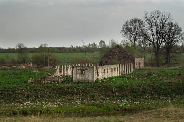 Altes verlassenes Gebäude im Wald. Ruinierter Kuhstall — Stockfoto