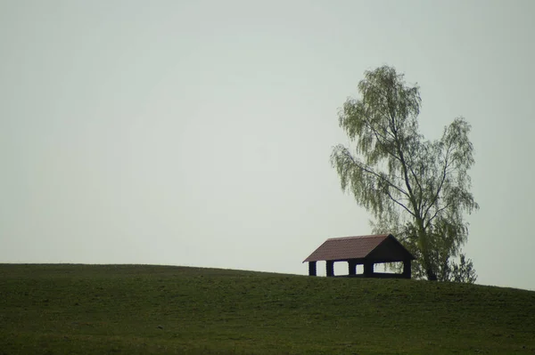 Tepedeki yalnız çardak. tarlada tek başına duran ağacın altında yazlık. yalnızlık kavramı — Stok fotoğraf