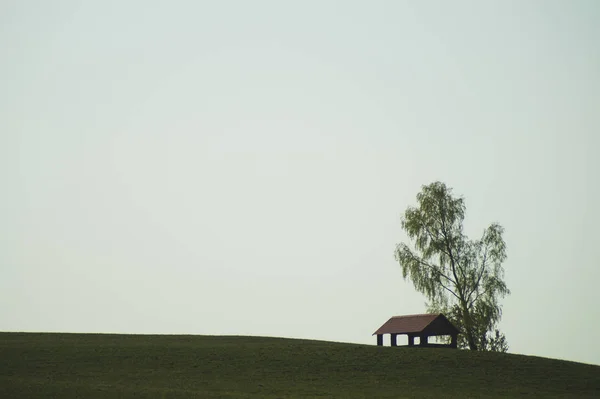 Samotna altana na wzgórzu. na drzewie stojącej samotnie w terenie. koncepcja samotności — Zdjęcie stockowe