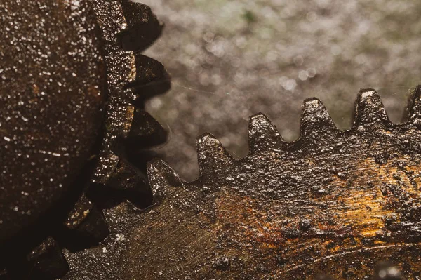 Gears of industrial machine. detail of mechanism. old cogwheels of machinery