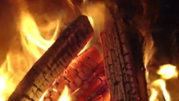 在篝火中焚烧木头 用柴火的壁炉 — 图库视频影像