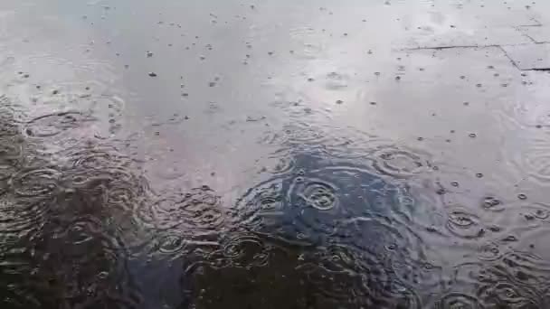 Kemény Eső Háttér Esőcseppekkel Esik Földre — Stock videók