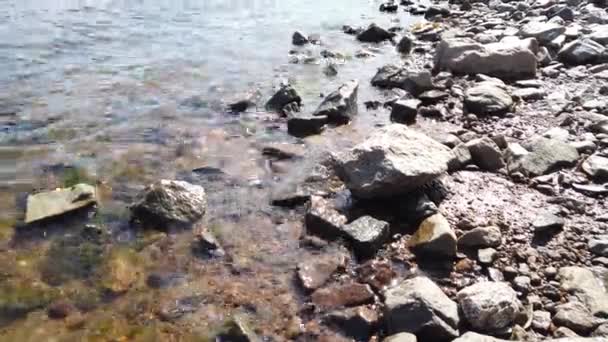 透明な水の中の石を閉じます 岩の多い海岸に波が近づいています 波紋のある水面 — ストック動画
