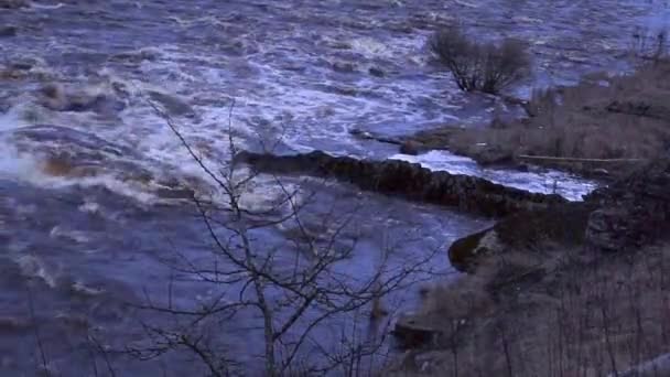 岩の多い川の水の流れ 滝が閉じて — ストック動画