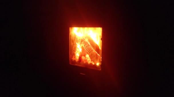 Burning Wooden Logs Fireplace — Stock Video
