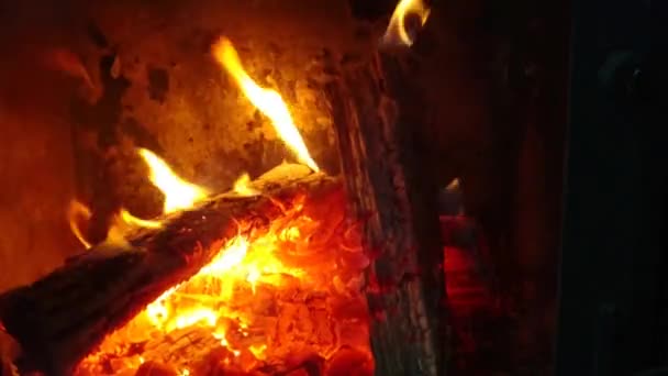在篝火中焚烧木头 用木柴生的壁炉 — 图库视频影像