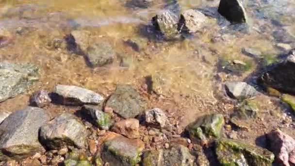 透明な水の中の石を閉じます 岩の多い海岸に波が近づいています 波紋のある水面 — ストック動画