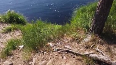 Orman Gölü. Dalgalı su yüzeyi. Güneşli bir gün. kıyıdan suya hareket eder