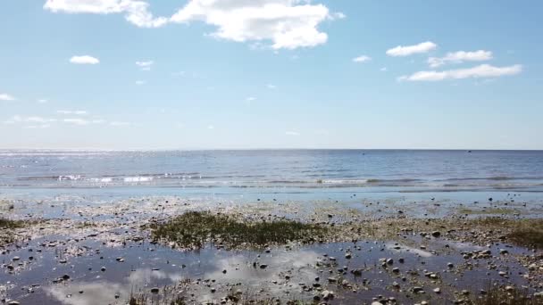 Onde Del Mare Stanno Arrivando Sulla Riva Superficie Dell Acqua — Video Stock