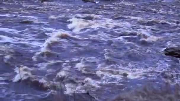 Corriente Agua Río Rocoso Cascada Cerca — Vídeo de stock