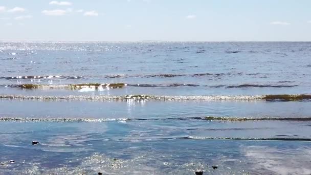 海の波は 海岸のスローモーションに来ている 波紋のある水面 水平線のある海 — ストック動画