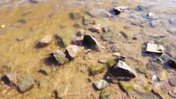 透明な水の中の石を閉じます 岩の多い海岸に波が近づいています 波紋のある水面 — ストック動画