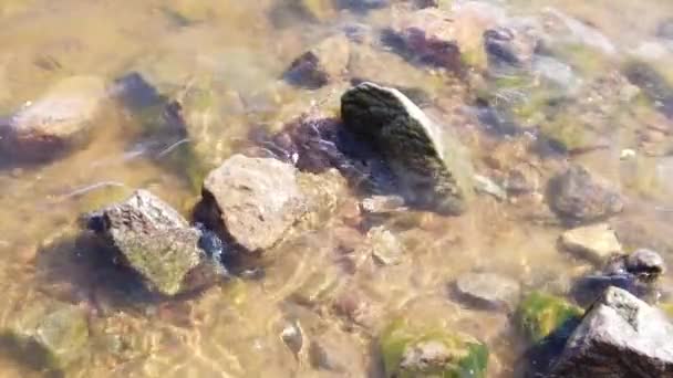 Steine Und Kiesel Wasser Meereswellen Nähern Sich Dem Felsigen Ufer — Stockvideo