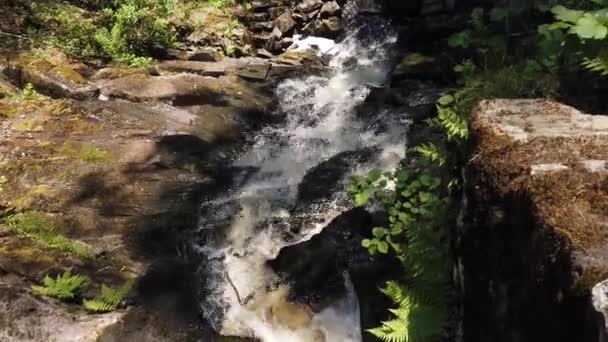 鬱蒼とした森の中の川 滝の真ん中からの眺め 美しい風景だ ビューは下から上へ移動し — ストック動画