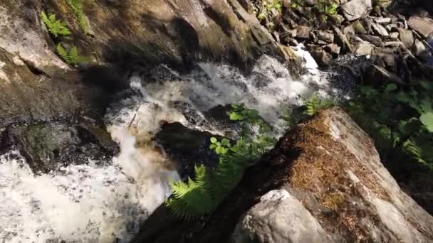 Yoğun Ormandaki Dağ Nehri Şelalenin Ortasından Manzara Güzel Manzara — Stok video