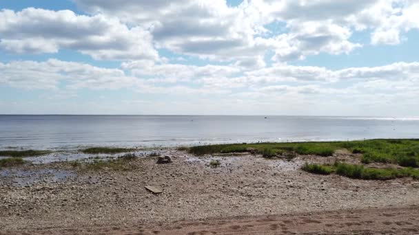 靠近海岸的飞鸟 海鸥活动 有海浪的海岸线 水面上有波纹 有地平线的海景 天空乌云密布 — 图库视频影像