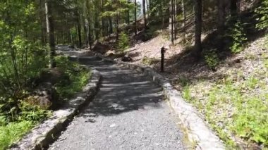 Parkta patika boyunca yürü. Kaldırım taşlı patika. yeşil bitkiler ve ağaçlar. yaz günü