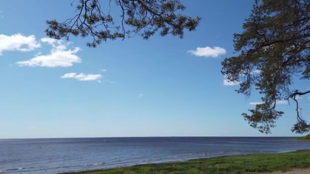 Orilla Del Mar Línea Del Horizonte Bajo Árbol Ramas Contra — Vídeo de stock