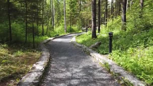 Berjalan Sepanjang Jalan Taman Jalur Dengan Batu Jalan Tanaman Hijau — Stok Video