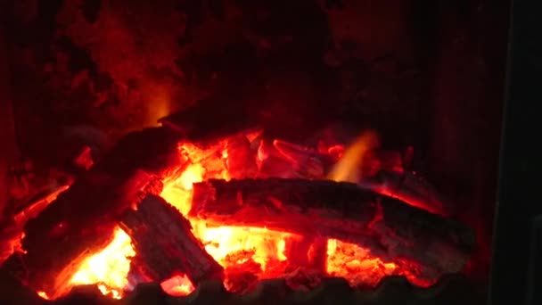 Burning Wood Bonfire Fireplace Firewood — Stock Video