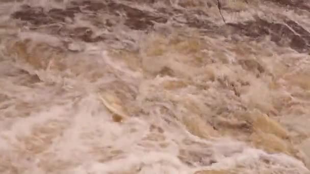 바위투성이의 강에서 흐릅니다 바위투성이 — 비디오