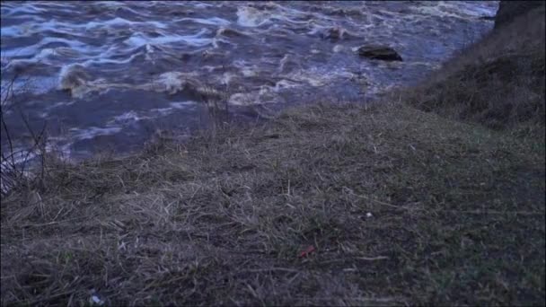 Ρεύμα Νερού Στον Βραχώδη Ποταμό Καταρράκτη Κοντά — Αρχείο Βίντεο