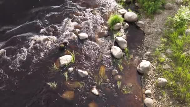 Orilla Río Rocoso Agua Fluye Día Soleado Fondo Limoso — Vídeo de stock