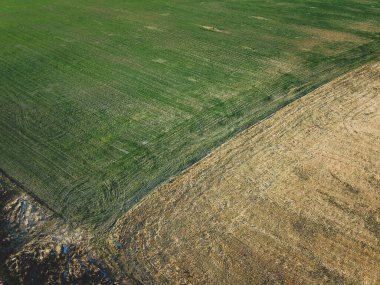 Tarım alanlarının havadan görünüşü. Geniş çayır manzarası. çimen soyut arkaplan