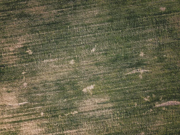 Widok Lotu Ptaka Szeroki Krajobraz Łąkowy Abstrakcyjna Tekstura Trawy — Zdjęcie stockowe