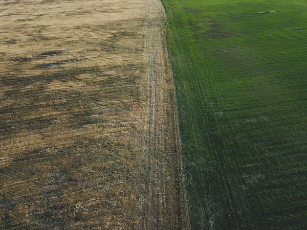 Сельскохозяйственные Поля Вид Воздуха Широкий Луговой Пейзаж Абстрактный Фон Травы — стоковое фото