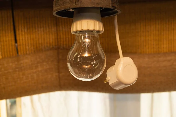 Incandescent lamp. hanging light bulb and electric plug