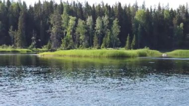Dalgalı su yüzeyi. Orman Gölü. Güneşli bir gün. Ağır çekim. görüntü soldan sağa hareket eder