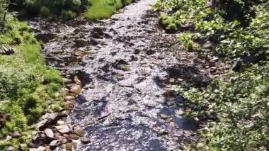 Yoğun ormandaki dağ nehri. Kayalık su yolu. Woodland Deresi. Su akışı. Ağır çekim. Yukarıdan görünüm