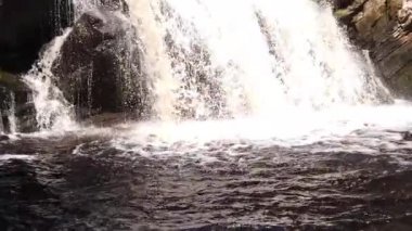 Yoğun ormanda şelale. dağ nehri. Su akışı. Woodland Deresi. Görüntü suyun aşağıdan yukarıya akışını takip eder. yavaş çekim