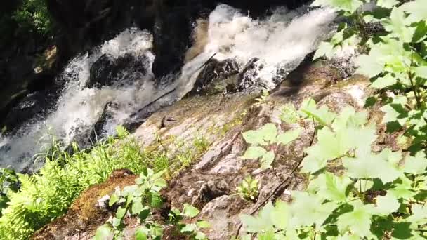 Rivière Montagne Cascade Rocheuse Écoulement Eau Avec Éclaboussures Pierres Avec — Video