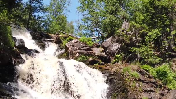 Vattenfall Tät Skog Bergsflod Klippiga Vattendrag Vattenflöde Skogsbäcken Slow Motion — Stockvideo