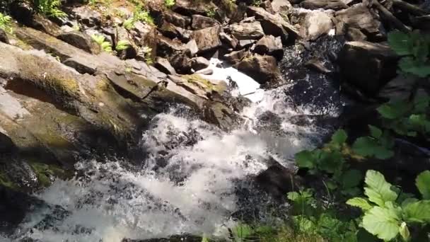 Waterval Dicht Bos Bergrivier Rotsachtige Waterloop Waterstroom Bosbeekje Slow Motion — Stockvideo