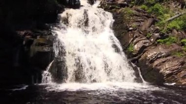 Yoğun ormanda şelale. dağ nehri. Woodland Deresi. Su sıçratarak akıyor. Kayalık su yolu