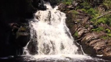 Yoğun ormanda şelale. dağ nehri. Woodland Deresi. Su sıçratarak akıyor. Kayalık su yolu. görünüm aşağıdan yukarıya hareket eder