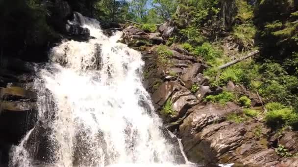 Cascada Bosque Denso Río Montaña Arroyo Del Bosque Flujo Agua — Vídeos de Stock