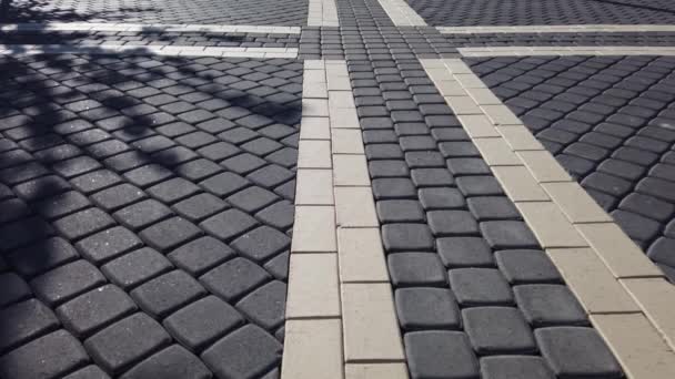 正方形のブロックで作られた歩道 地面に植物の影 風の強い日 舗装路 — ストック動画