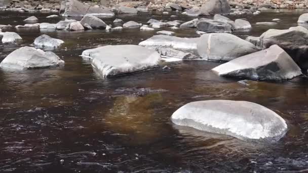 Rio Rochoso Pedras Água Câmara Lenta — Vídeo de Stock