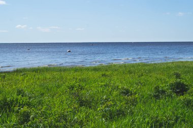 Deniz kıyısı. Ufuk çizgisi. Yeşil çimenli, geniş bir sahil. su yüzeyi