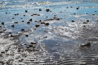 Dalgalı ıslak kumda taşlar. Deniz kıyısındaki çakıl taşları yakın mesafede. soyut arkaplan