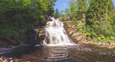 Yoğun ormanda şelale. dağ nehri. Woodland Deresi. Su sıçratarak akıyor. panoramik görünüm
