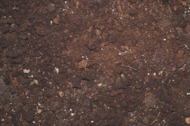 Çiçek saksısından eski toprak. ev bitkisi nakli