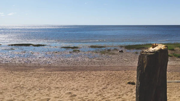 海の海岸 水平線のある海 シルト コースト — ストック写真