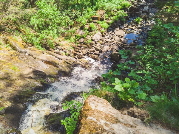 Waterfall Dense Forest Mountain River Woodland Creek Water Flow Splashes — Stock Photo, Image