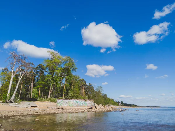 Bomen Aan Kust Blauwe Lucht Wolken Achtergrond — Stockfoto